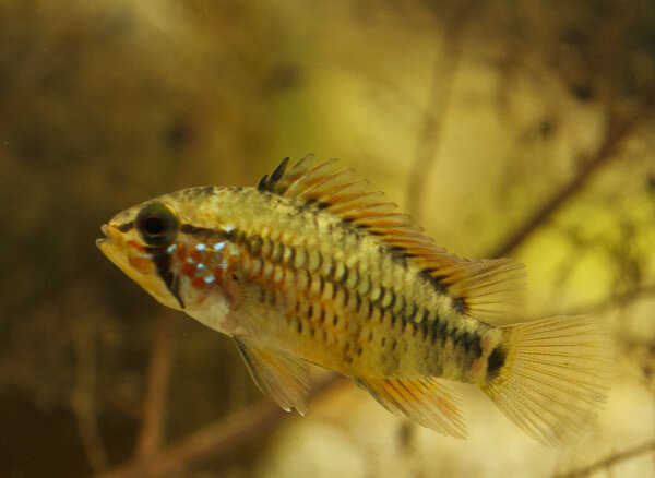 IMG_9621 bewerkt 027.jpg