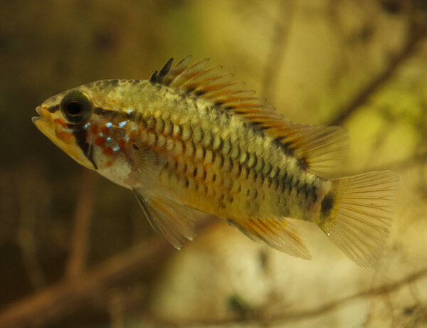 IMG_9622 bewerkt 031.jpg