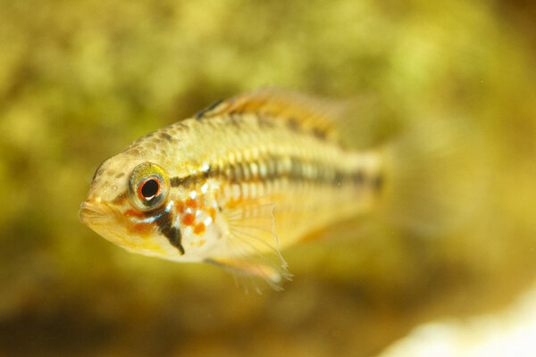 IMG_9632 bewerkt 028.jpg