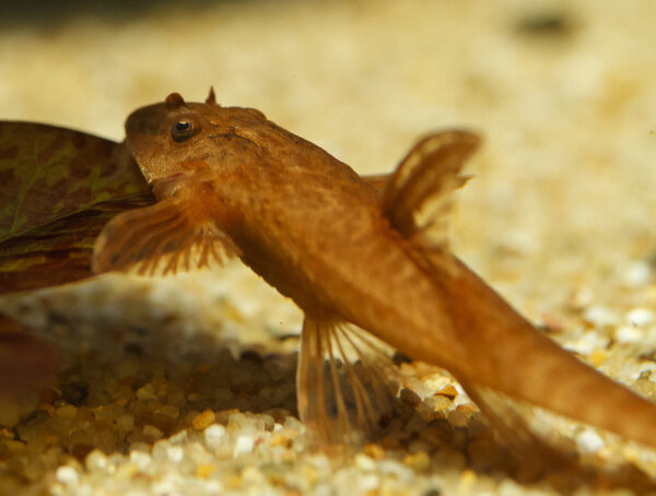 IMG_9655 bewerkt 034.jpg