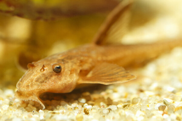 IMG_9659 bewerkt 035.jpg