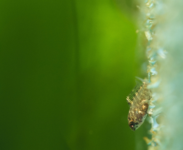 IMG_9662 bewerkt 024.jpg