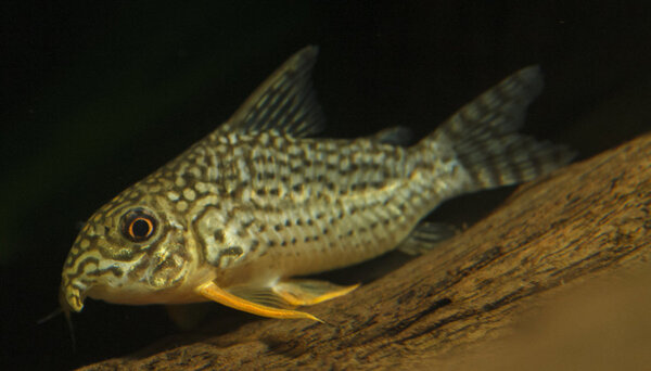 IMG_9674 bewerkt 042.jpg