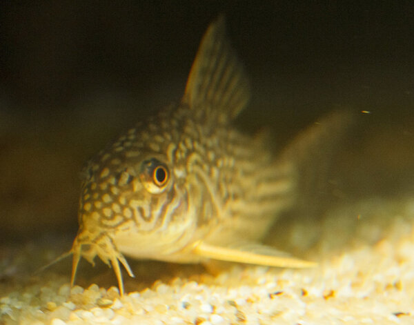 IMG_9677 bewerkt 044.jpg