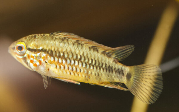 IMG_9687 bewerkt 029.jpg