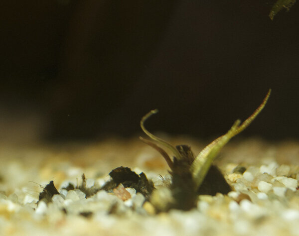 IMG_9694 bewerkt 019.jpg