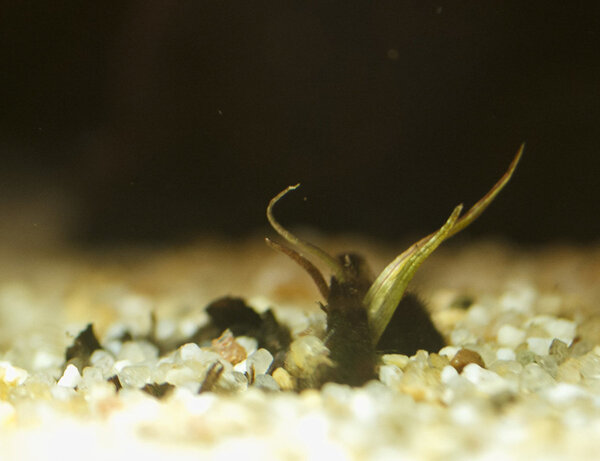 IMG_9695 bewerkt 020.jpg