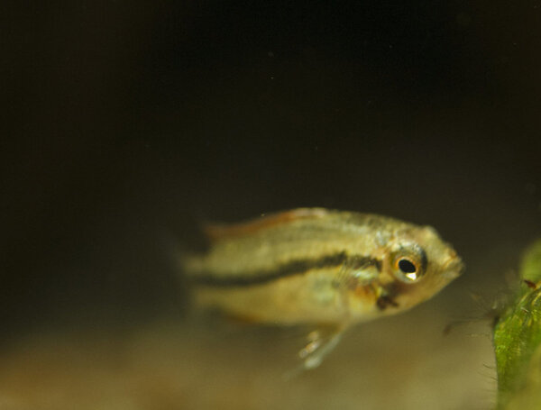 IMG_9696 bewerkt 021.jpg