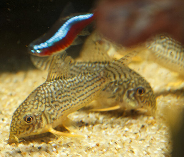 IMG_9708 bewerkt 046.jpg