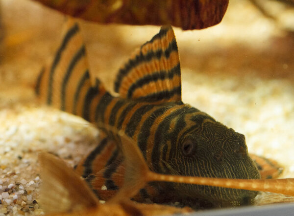 IMG_9709 bewerkt 039.jpg