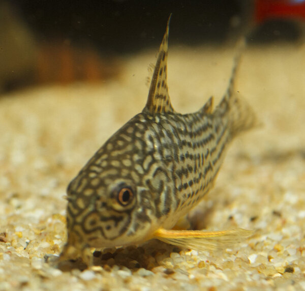 IMG_9711 bewerkt 047.jpg