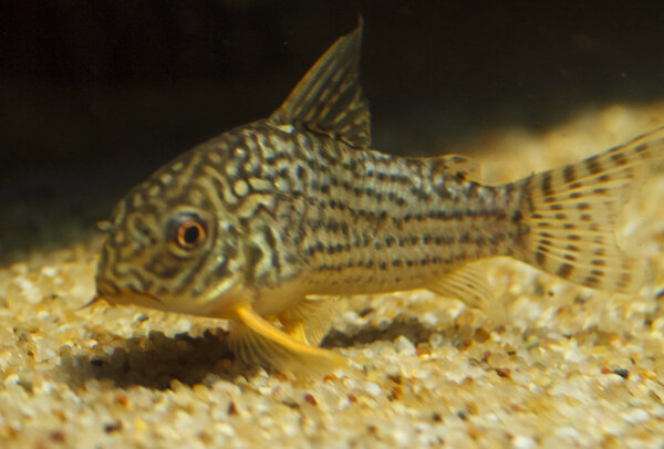 IMG_9723 bewerkt 048.jpg