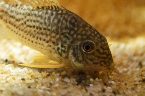 IMG_9730 bewerkt 049.jpg