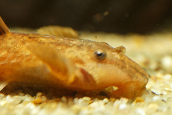 IMG_9733 bewerkt 037.jpg