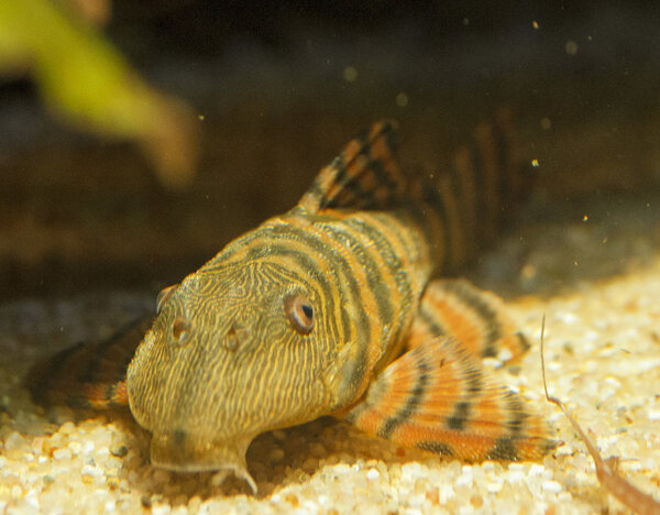 IMG_9735 bewerkt 040.jpg