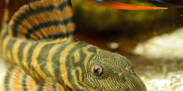 IMG_9737 bewerkt 041.jpg