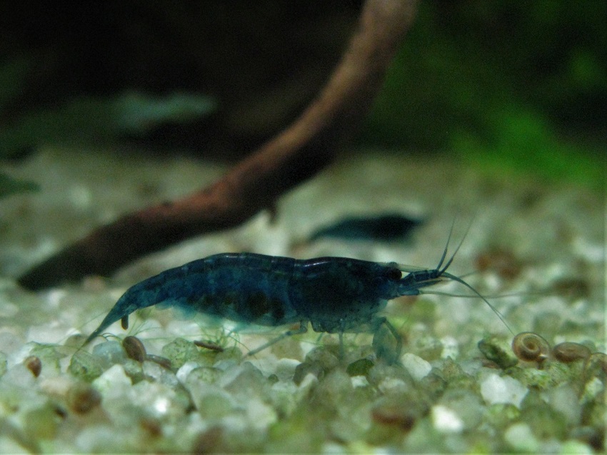 k6.jpg