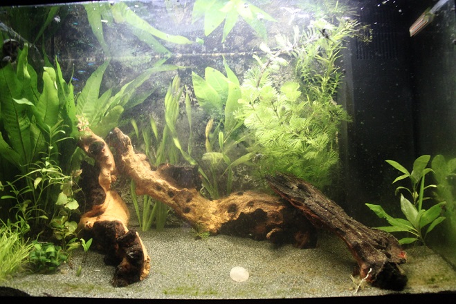 nieuwe_inrichting_met_hout.jpg