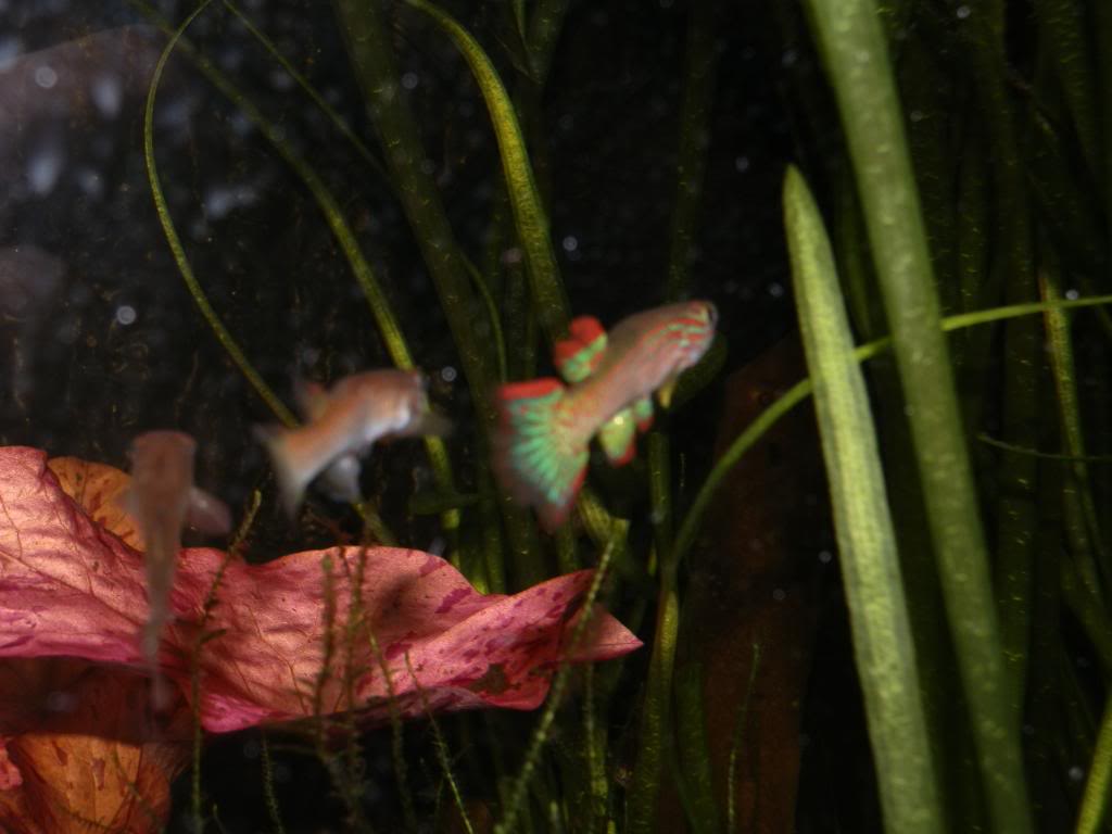 P1031144_zps9dc8b7ae.jpg