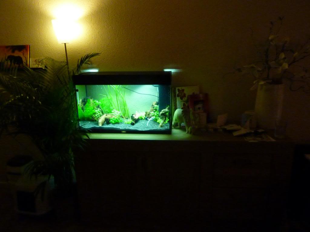 P1090404_zps02c28da6.jpg