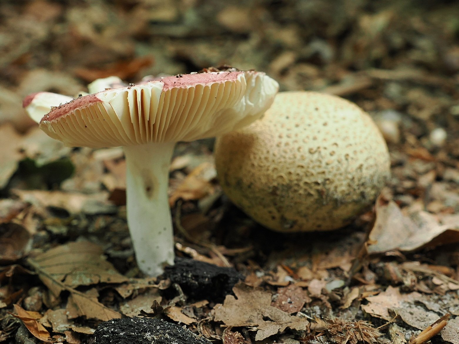 P9230390.JPG