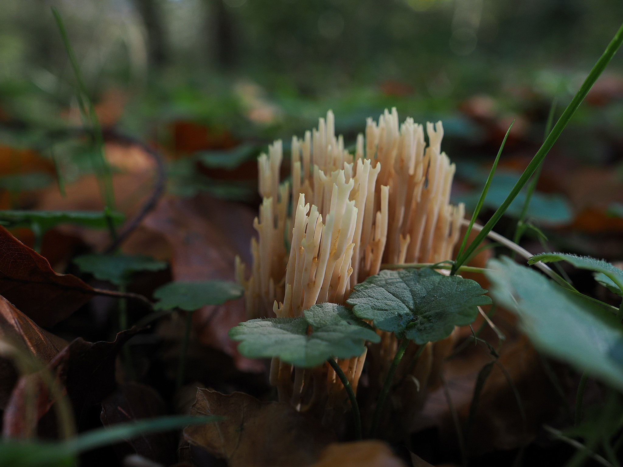 PB030122.JPG