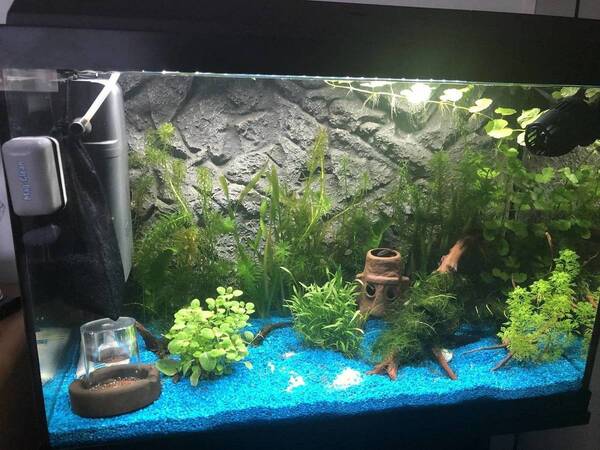 Photo 30-07-2019, 12 47 02.jpg