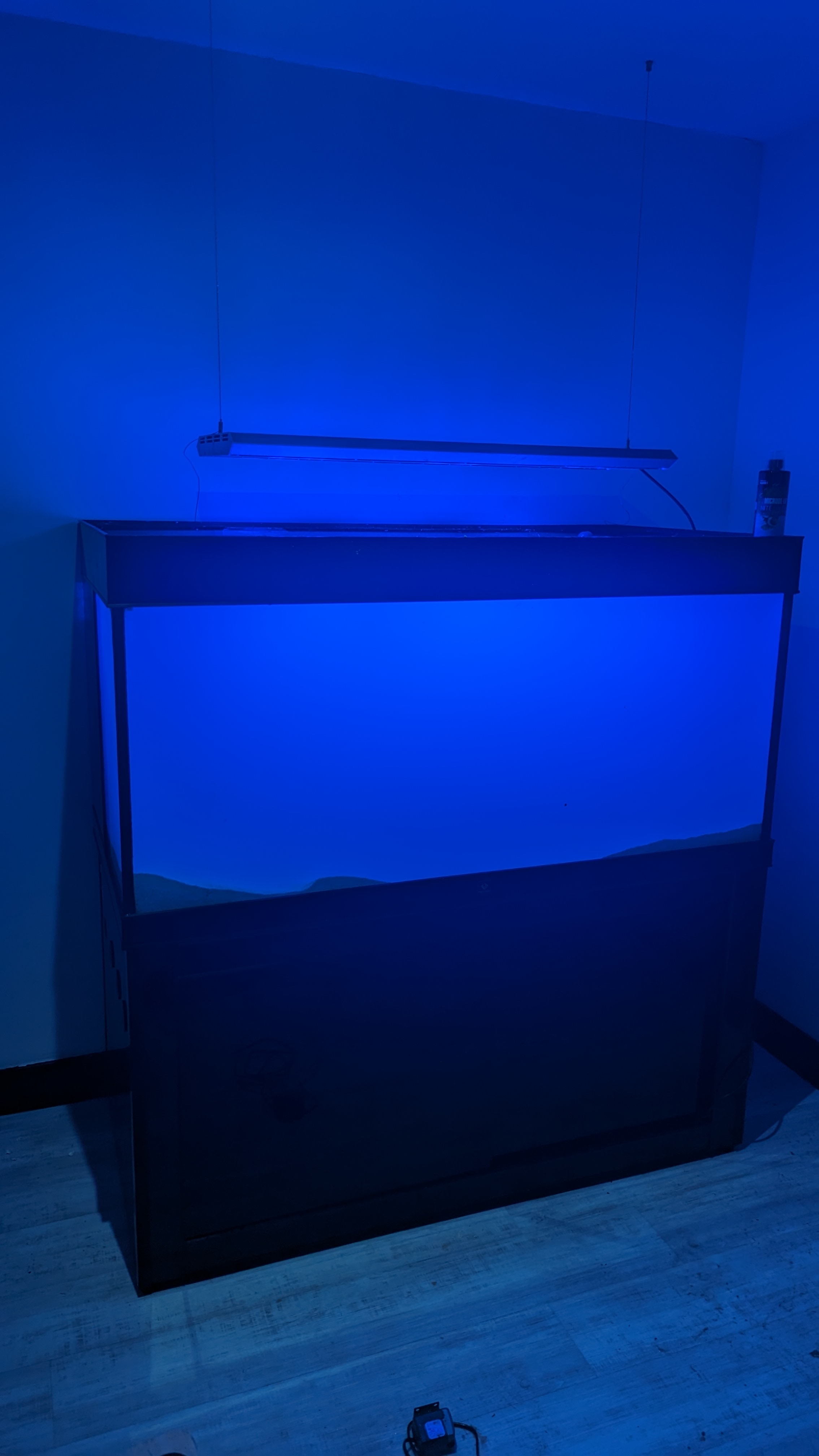 PXL_20230910_183424332.jpg