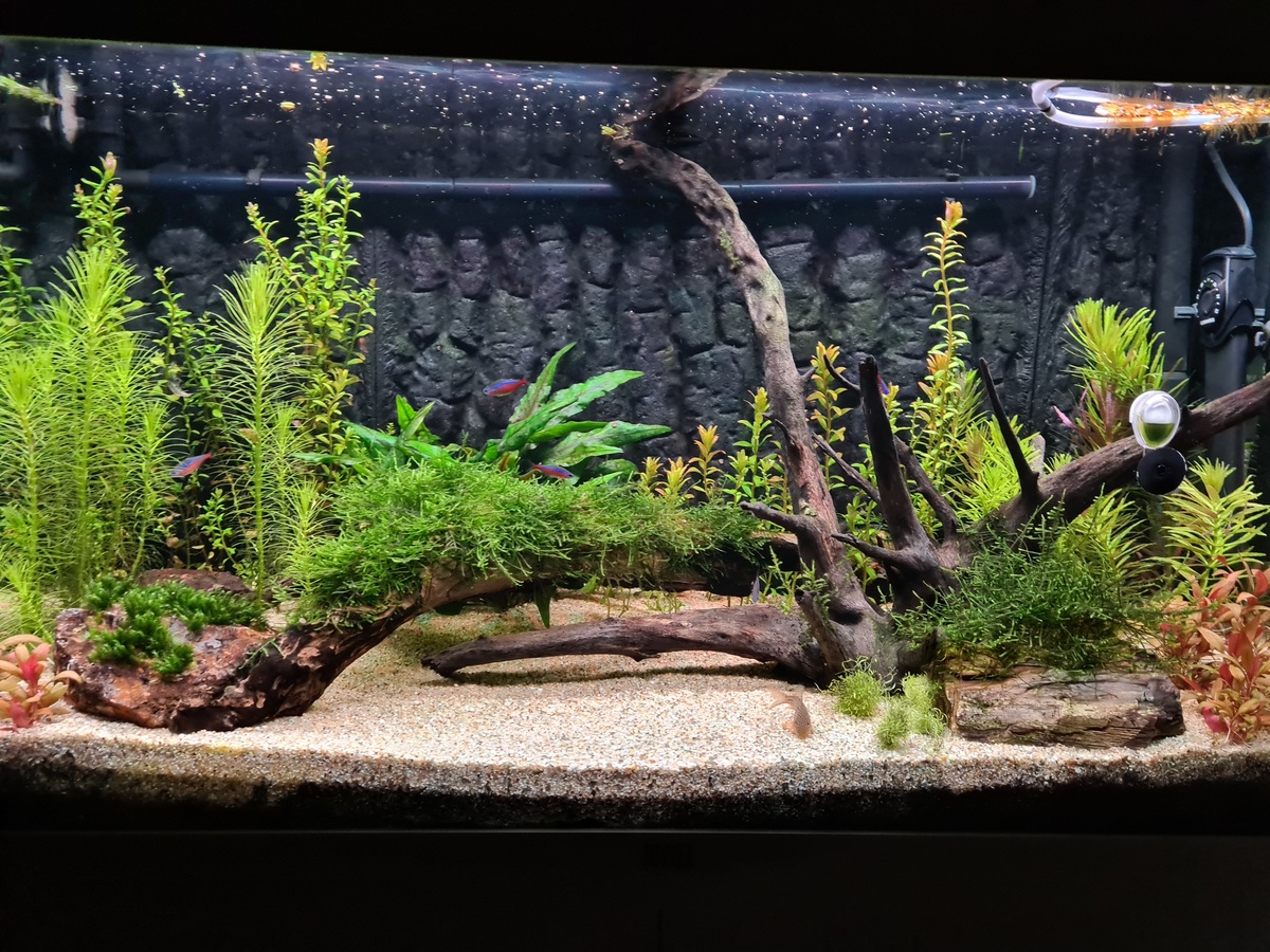 Rio125 - 27-5-2021.jpg