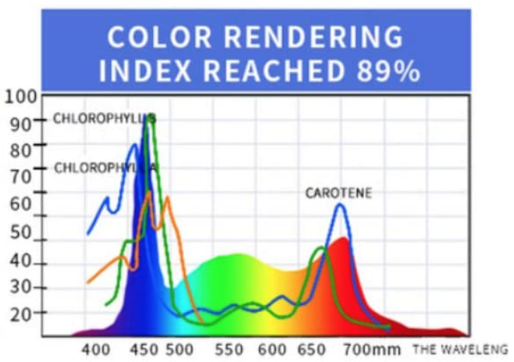 Schermafbeelding 2022-01-05 om 12.36.34.png