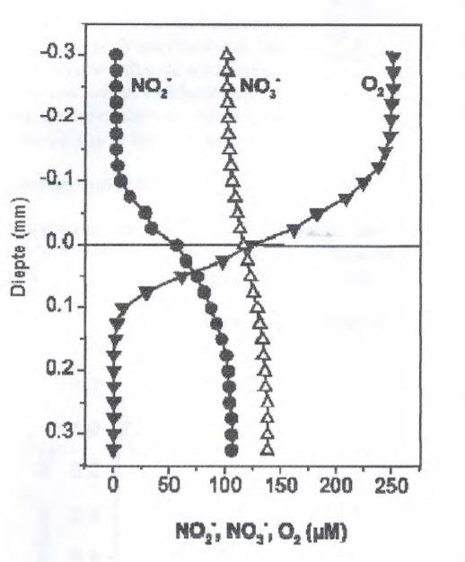 Schermafdruk 2017-06-17 07-4.jpg
