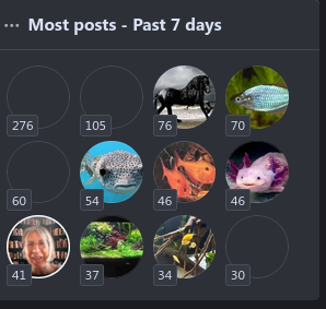 Schermafdruk op 2023-08-05 17-40-33.png