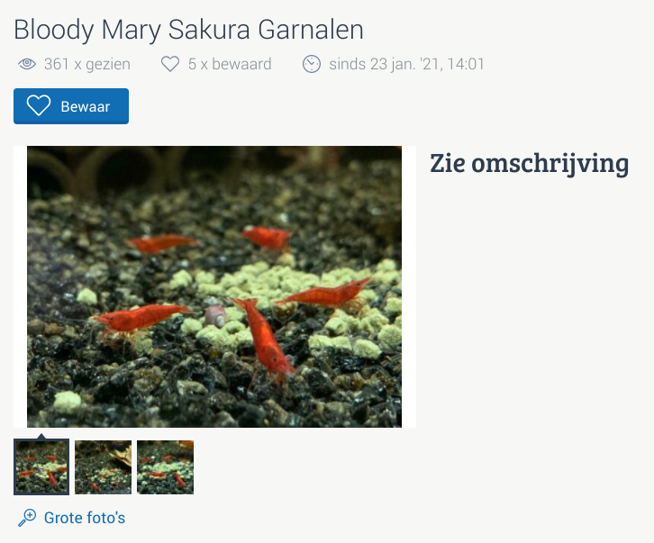 Screenshot 2021-02-21 12.06.52.png