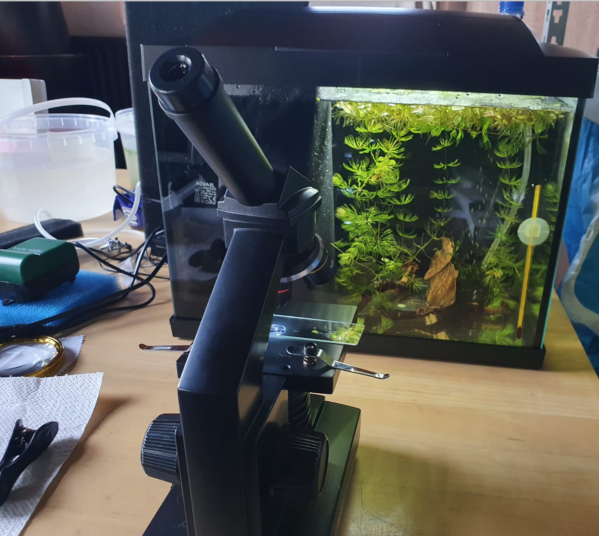 Screenshot 2021-04-17 at 15.52.45.png