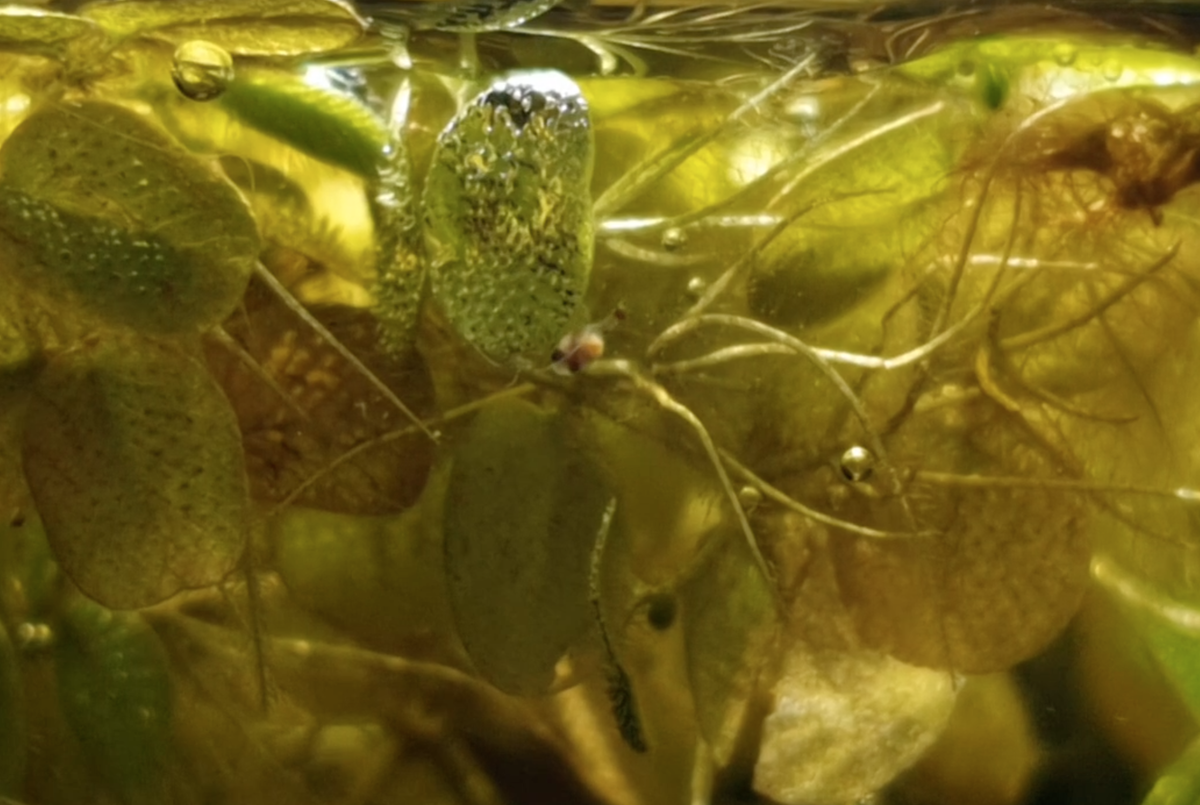 Screenshot 2021-04-28 at 18.55.43.png