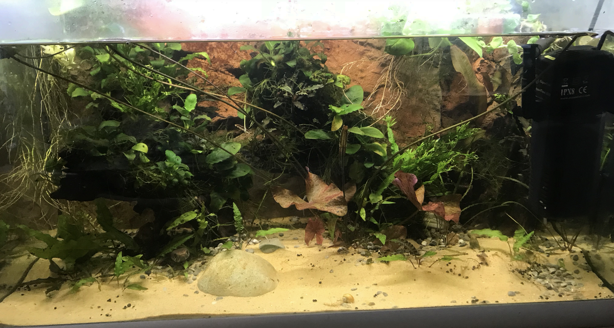 Screenshot 2021-12-13 at 14.42.43.png