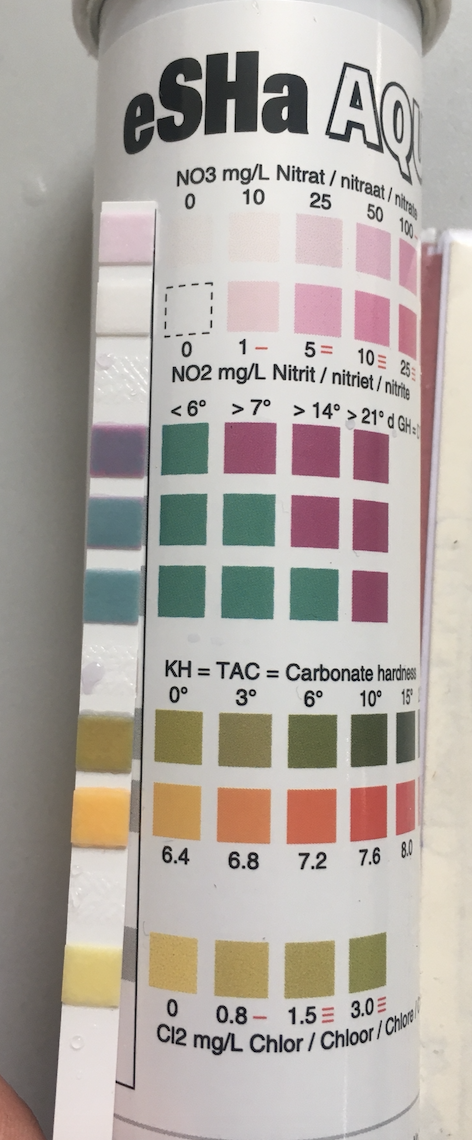 Screenshot 2022-03-13 at 14.00.26.png