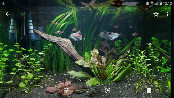 Screenshot_20200214-131348_Photos.jpg