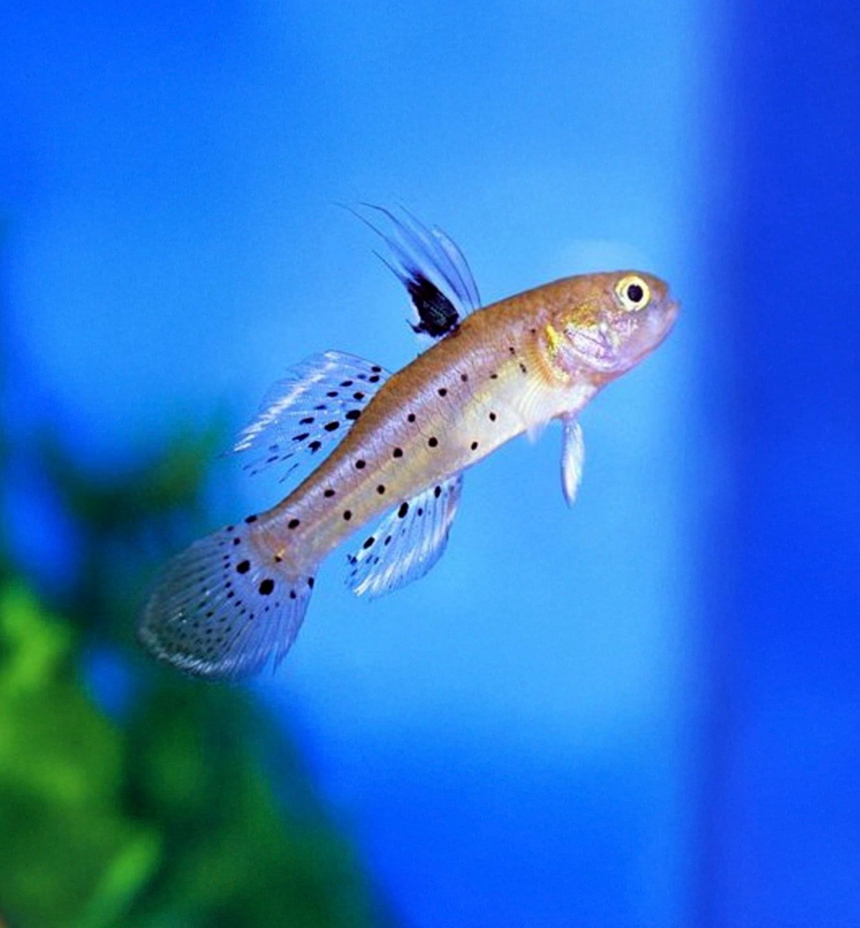 Screenshot_20260221_054552_Samsung Internet(1).jpg