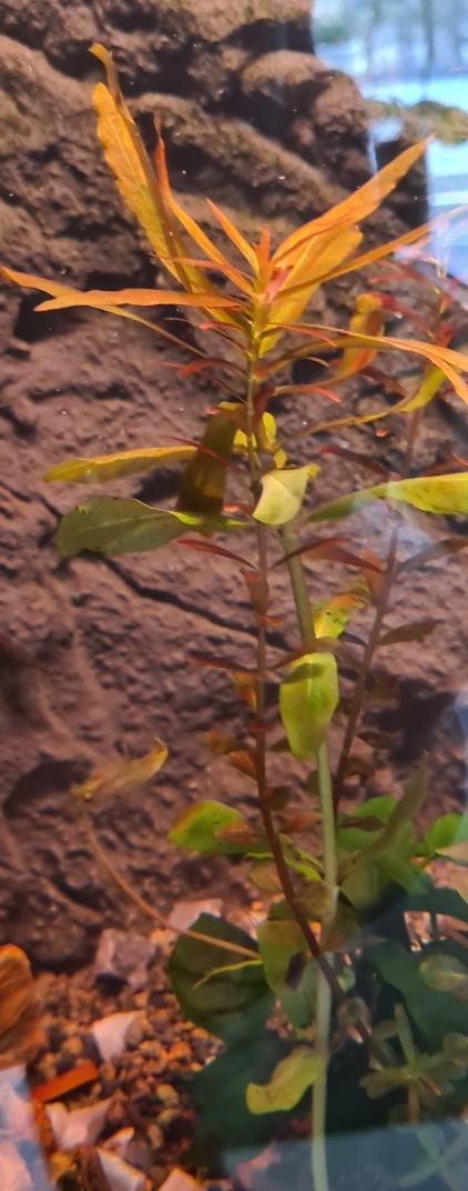 SmartSelect_20250417_124803_Samsung Internet.jpg