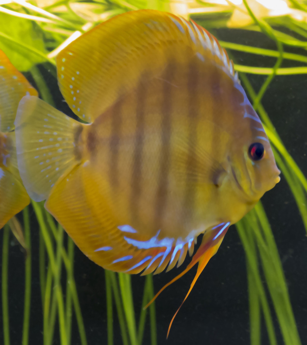 SS__1341 bewerkt.jpg