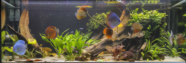 SS__2808 bewerkt 251.jpg