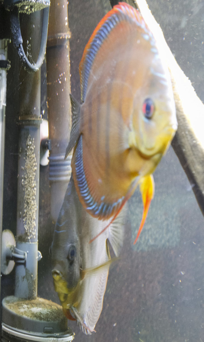 SS__2810 bewerkt 252.jpg