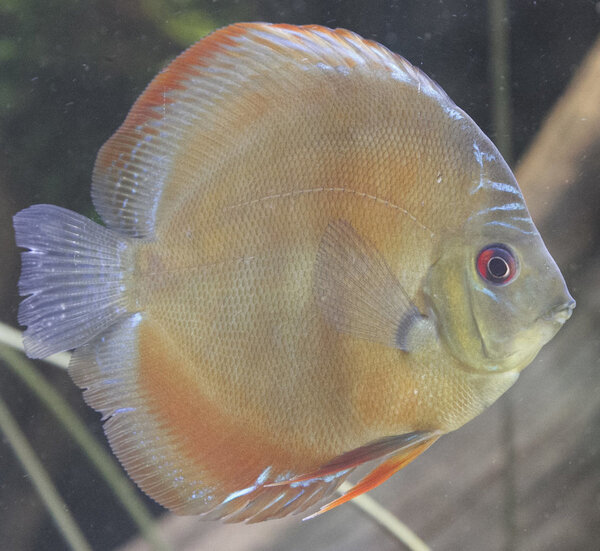 SS__3156 bewerkt 337.jpg