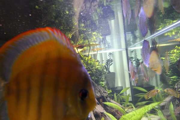 SS__3186 bewerkt 339.jpg