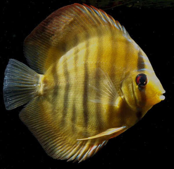 SS__3233 bewerkt 353.jpg