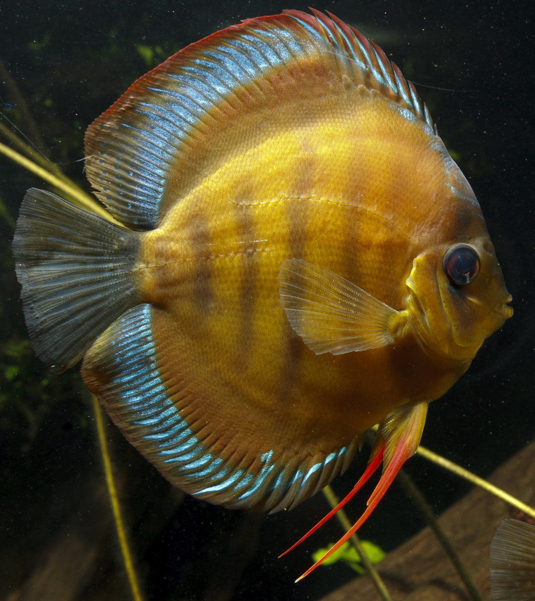 SS__3240 bewerkt 355.jpg