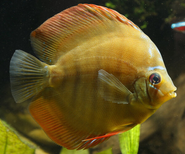 SS__3245 bewerkt 356.jpg