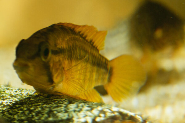 SS__3256 bewerkt 358.jpg