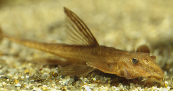 SS__3257 bewerkt 359.jpg